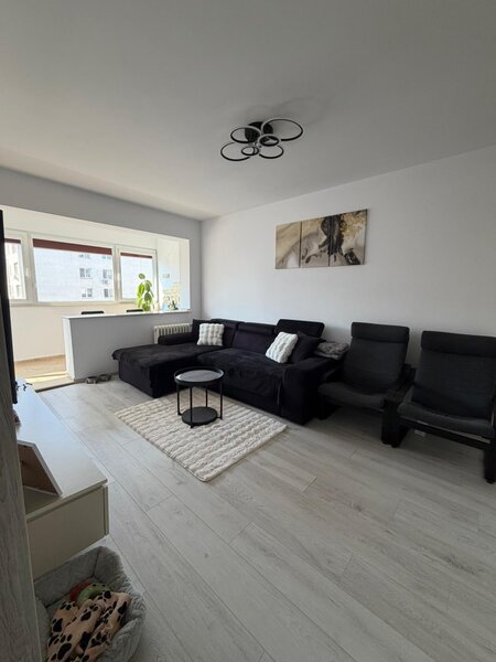 Dristor, Liviu Rebreanu, Park Lake,