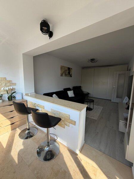 Dristor, Liviu Rebreanu, Park Lake,